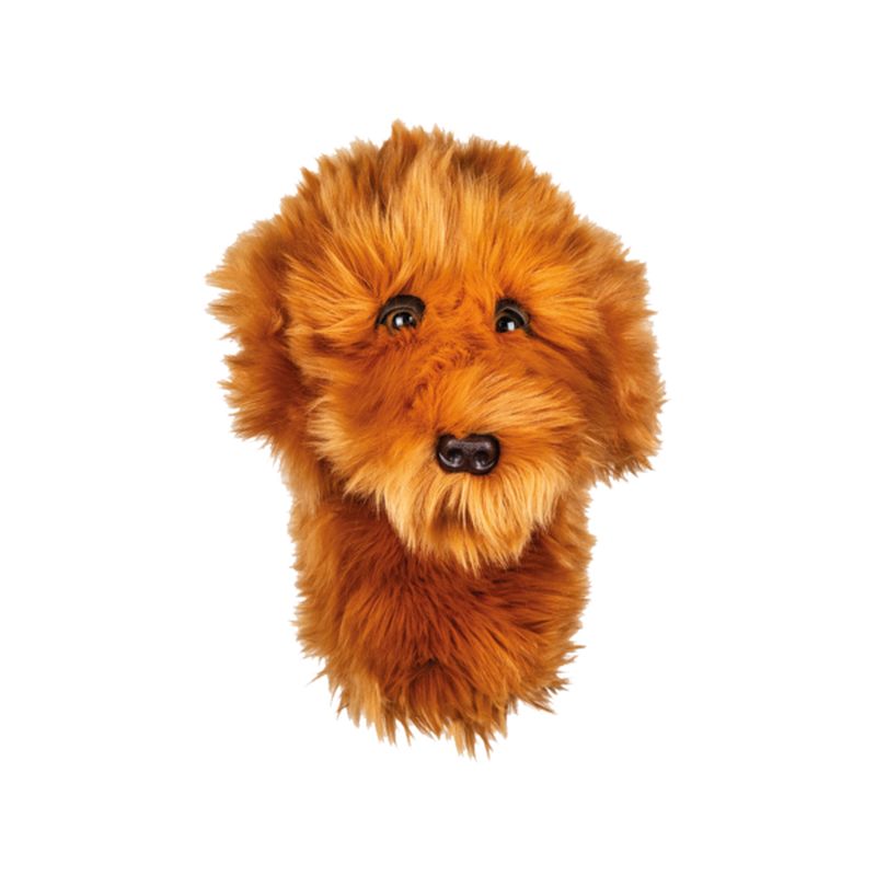 Daphne Headcover - Doodle Dog